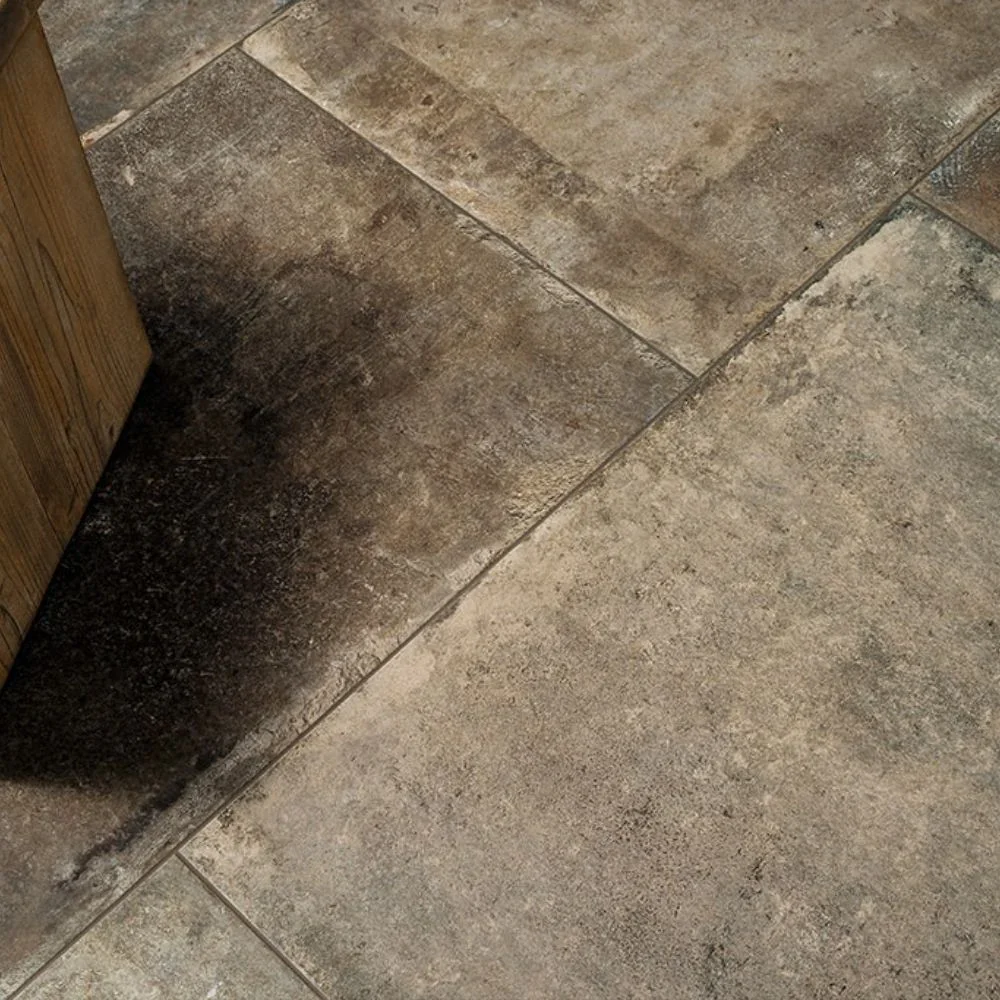 Musee Fabre Moka Porcelain Tile